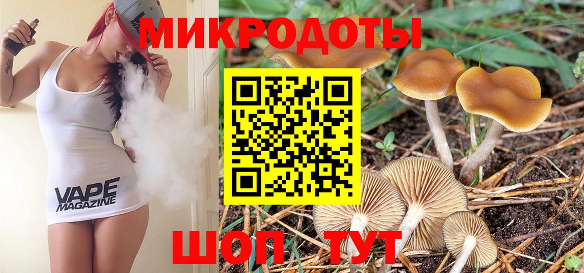 Галлюциногенные грибы GOLDEN TEACHER  наркотики  Ревда  Псилоцибиновые грибы мухоморы  Вход с VPN 